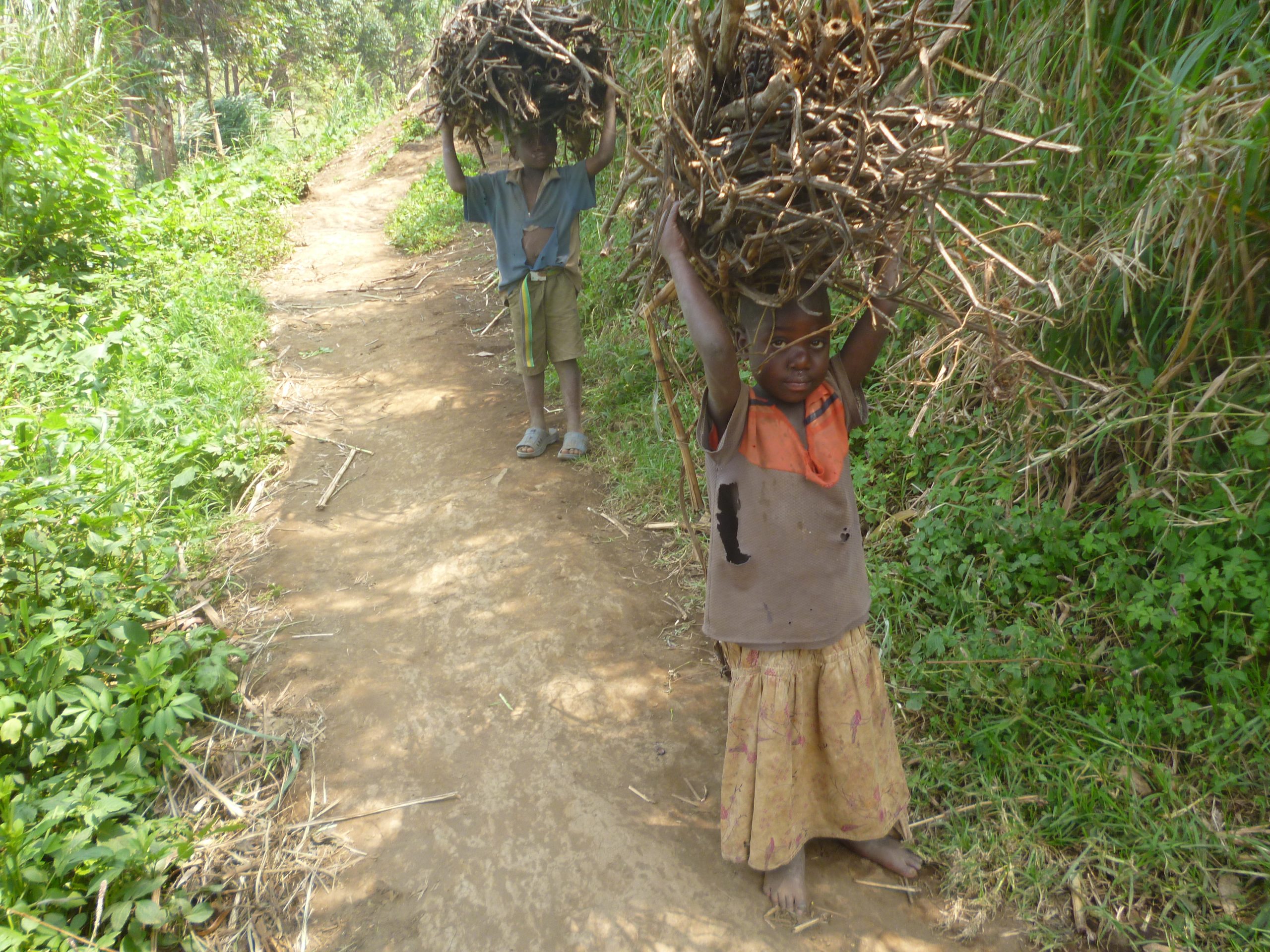 Children carrying firewood along a path in eastern Democratic Republic of the Congo
