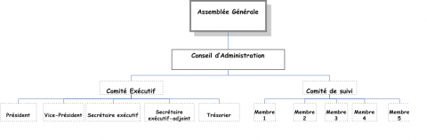 Organizational chart of the Amani-Kwetu Association: General Assembly, Board of Directors, Executive Committee and Monitoring Committee